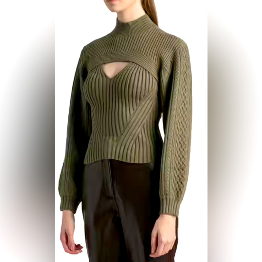 🍁 🍂 Simkhai Turtleneck Sweater